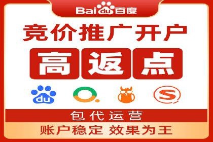 竞价推广代运营：成功案例解析